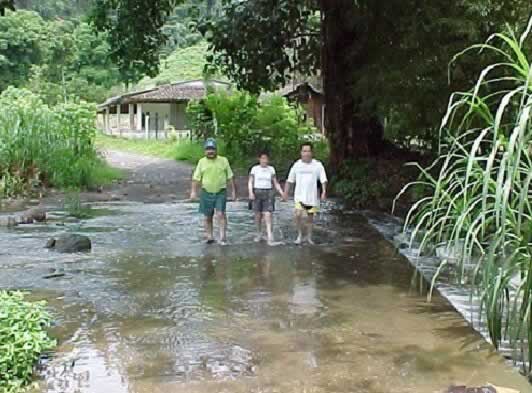 Entrada a El Campamento En Tlapacoyan